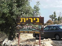 נירית