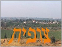 צופית